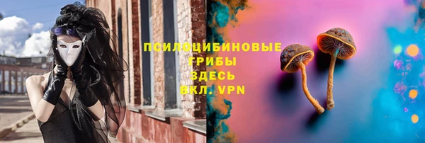 а пвп мука Арсеньев