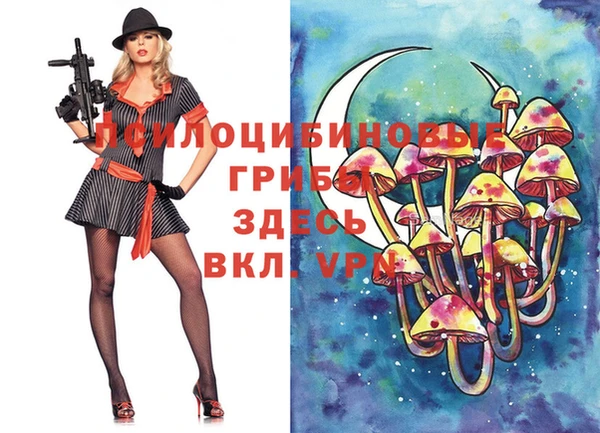марки lsd Аркадак