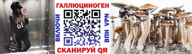 Псилоцибиновые грибы Cubensis  маркетплейс официальный сайт  Буинск  купить наркоту 